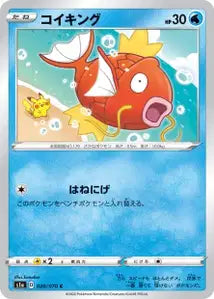 Magicarpe 20/070