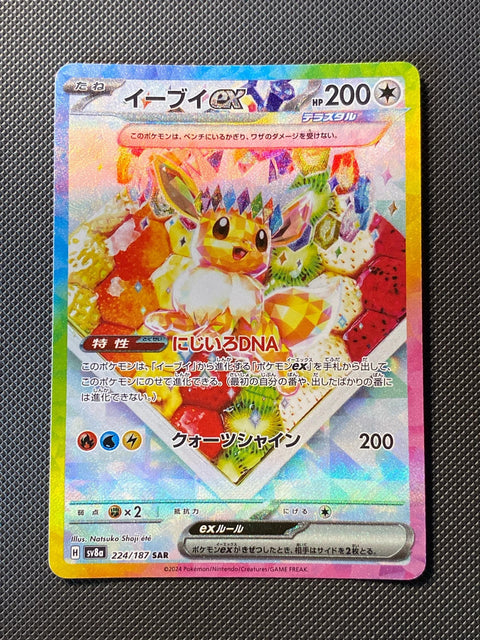 Eevee 224/187