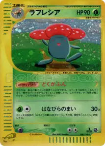 Rafflesia 100/128