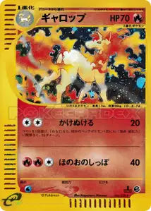 Galopa 105/128