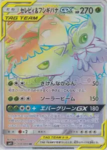 Celebi et Florizarre-GX 110/095
