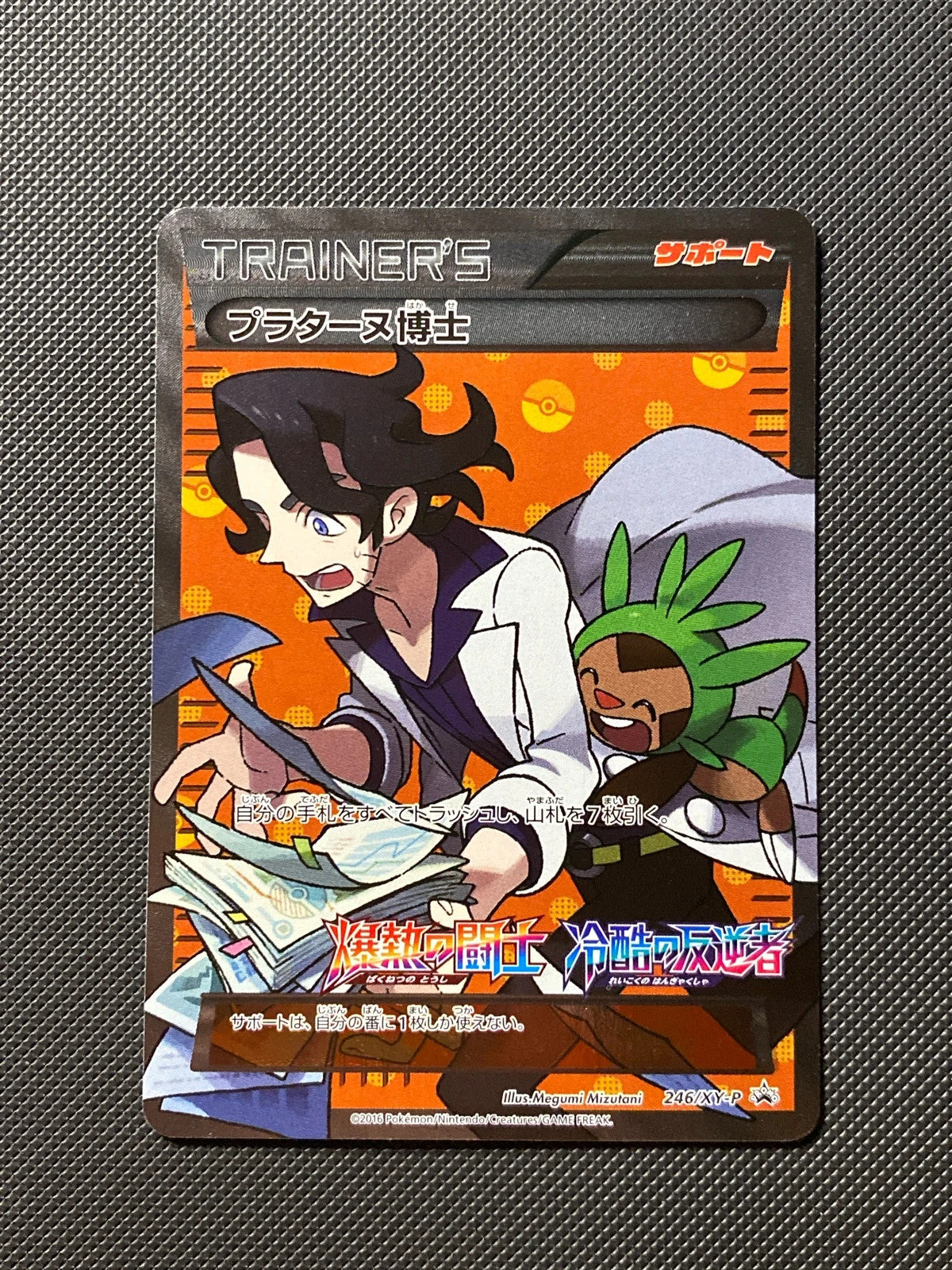 Professeur Platane XYP 246