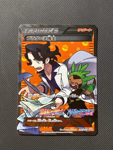 Professeur Platane XYP 246