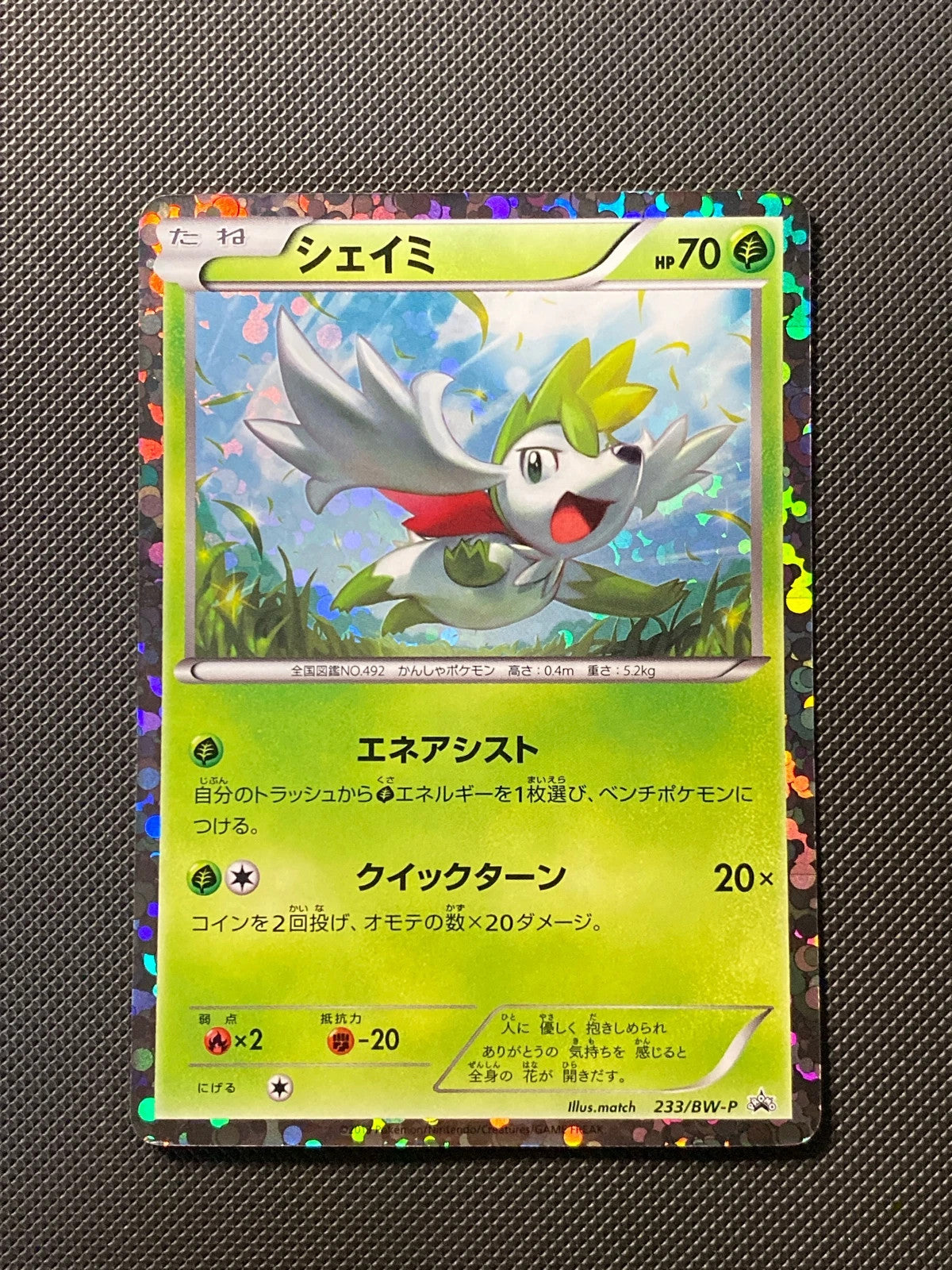 Shaymin BWP 233