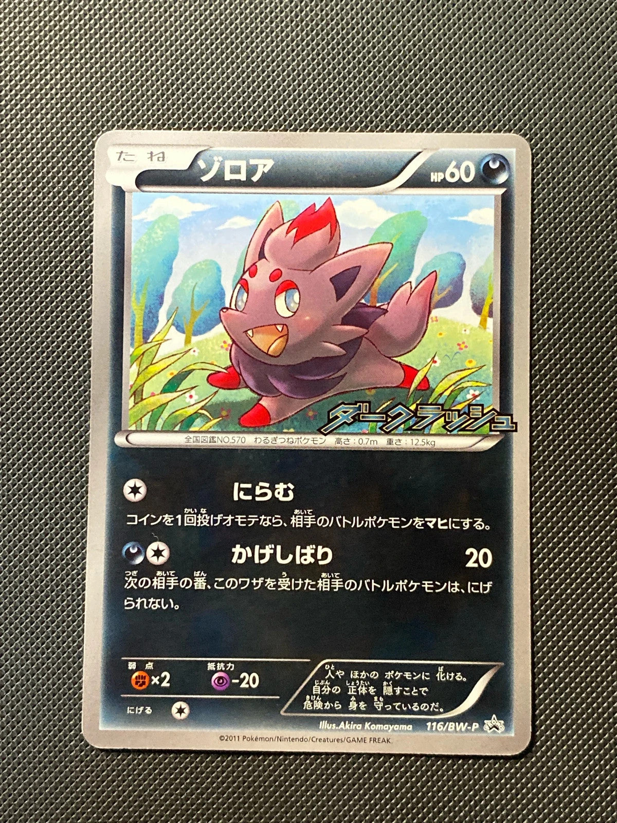 Zorua BWP 116