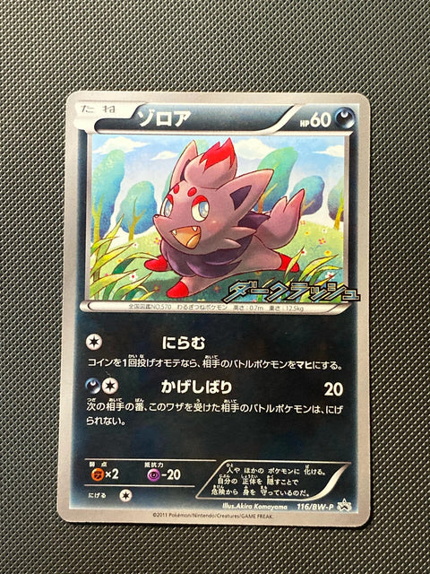 Zorua BWP 116