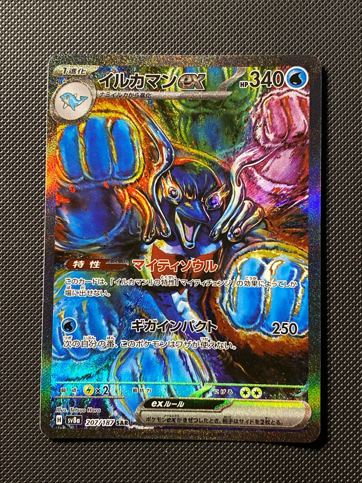 Superdofin ex 207/187