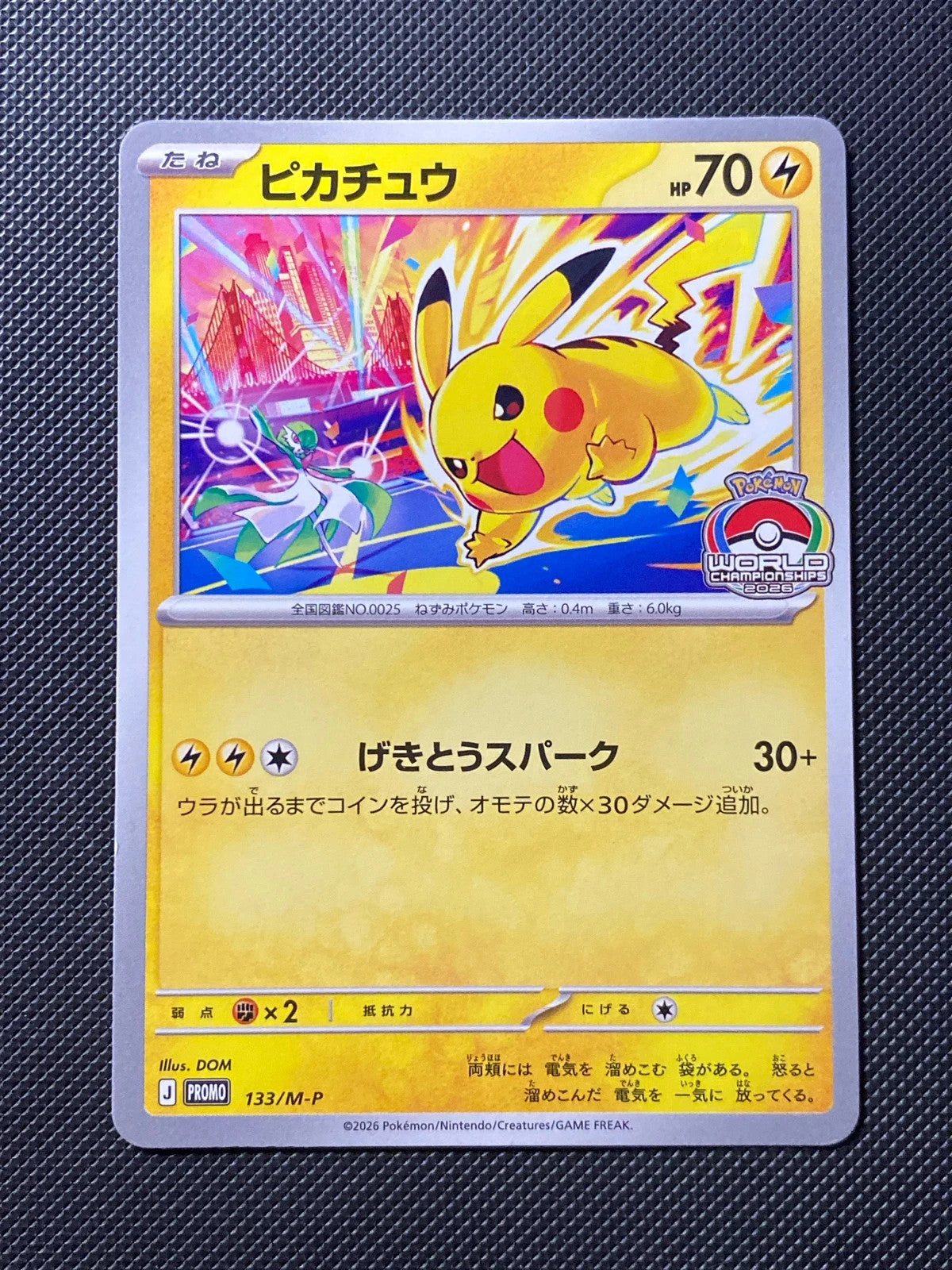 Pikachu MP 133
