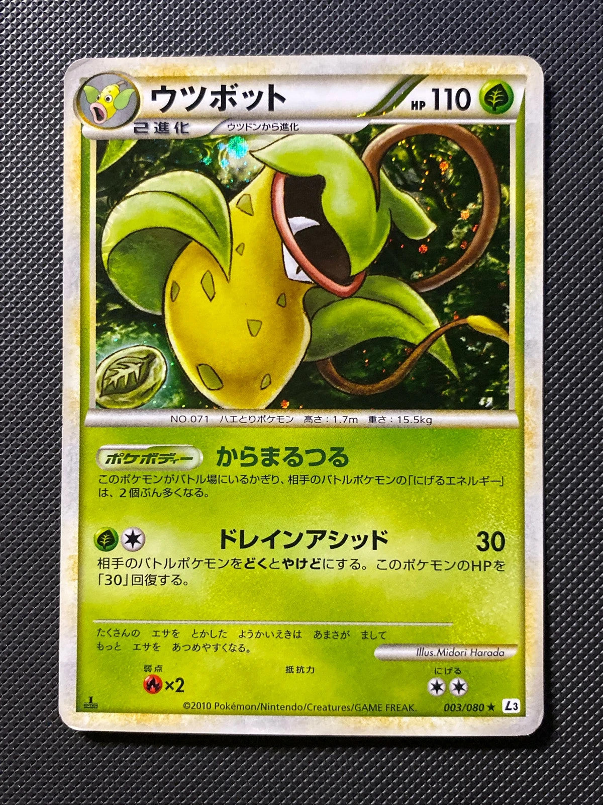 Empiflor 003/080