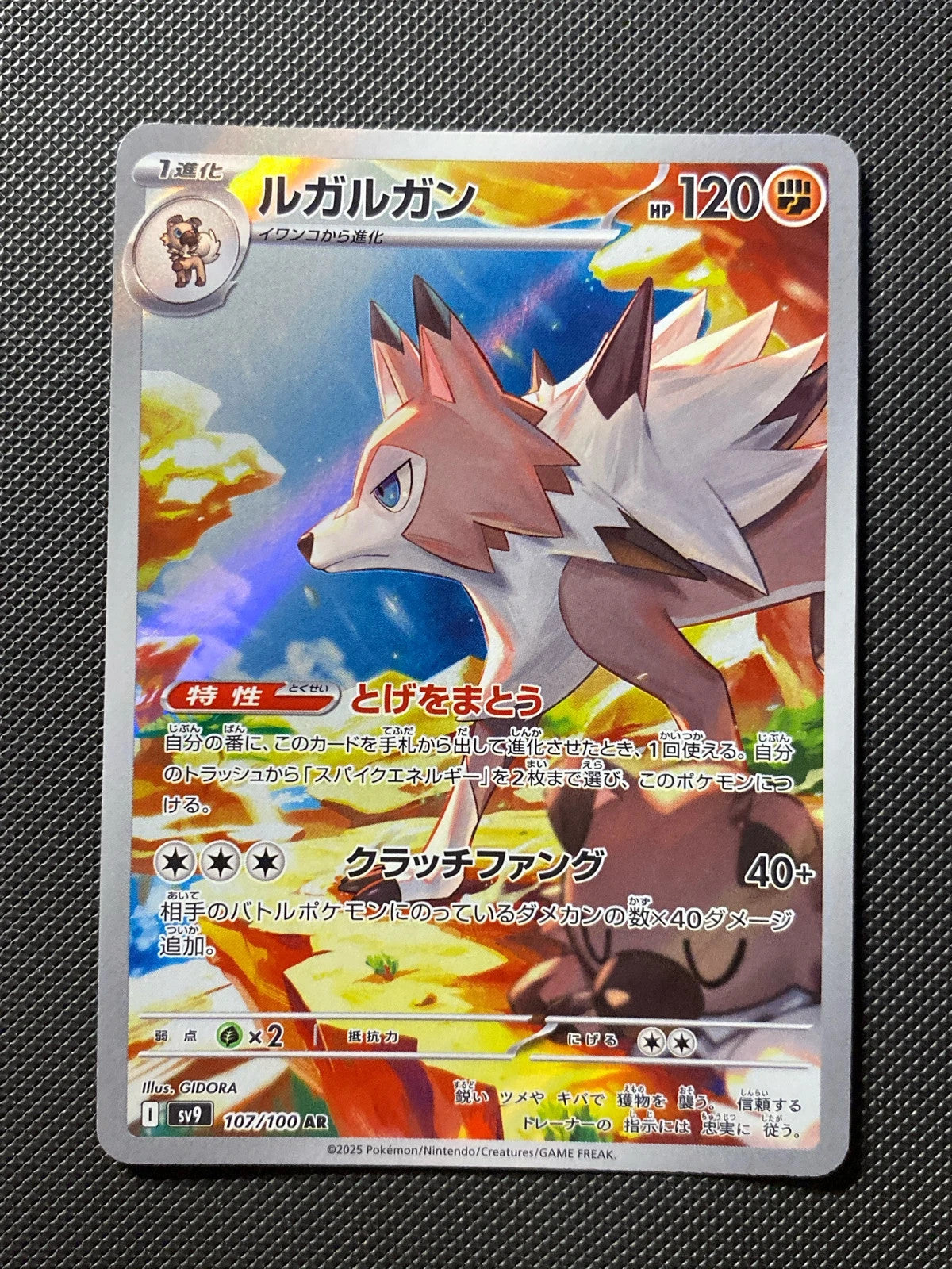 Lougaroc 107/100
