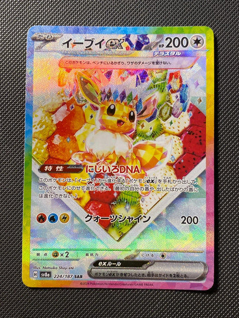 Eevee 224/187
