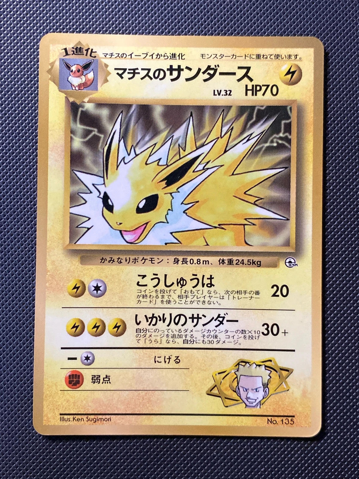 Sceptile / Blaziken / Swampert McDo Promo ADV-P 184/000