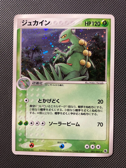 Sceptile Expansion Pack 003/055 japanese 003/066
