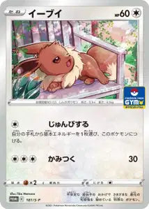 Evoli SPP 181
