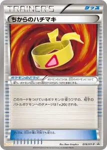 Bandeau Muscle XYP 19