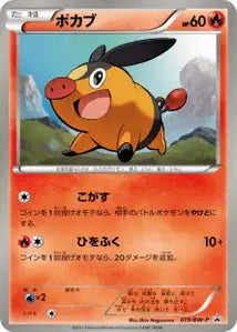 Gruikui BWP 19