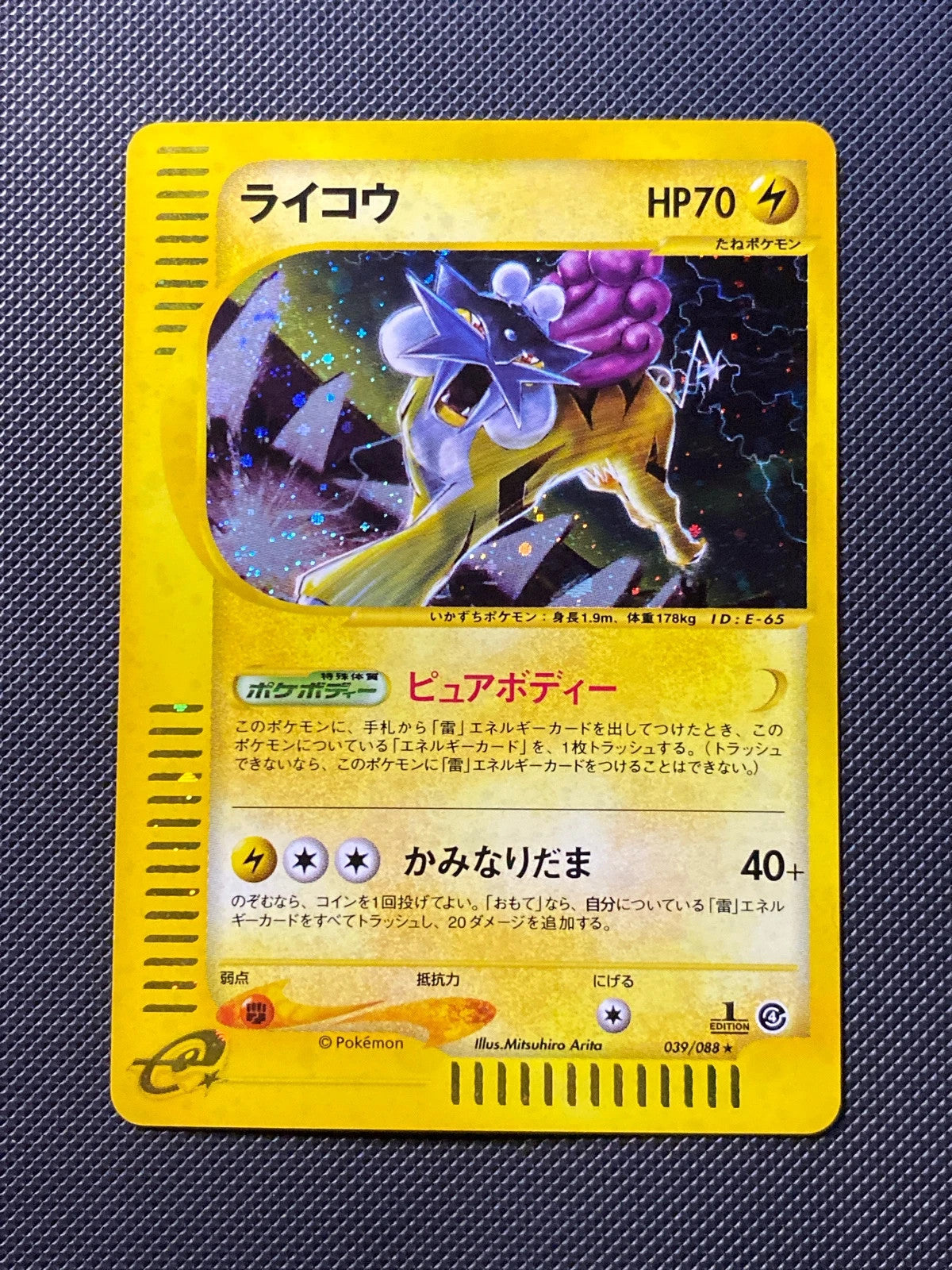 Raikou 039/088