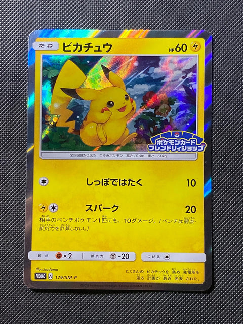 Pikachu SMP 179