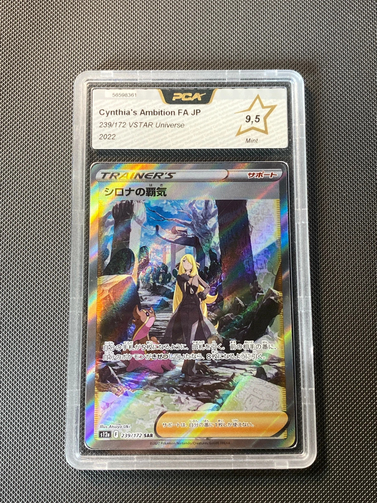 Cynthia's Ambition S12A 239 · PCA 9.5