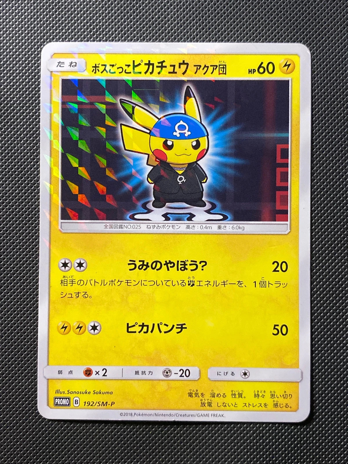 Pikachu Cosplay Team Aqua SMP 192