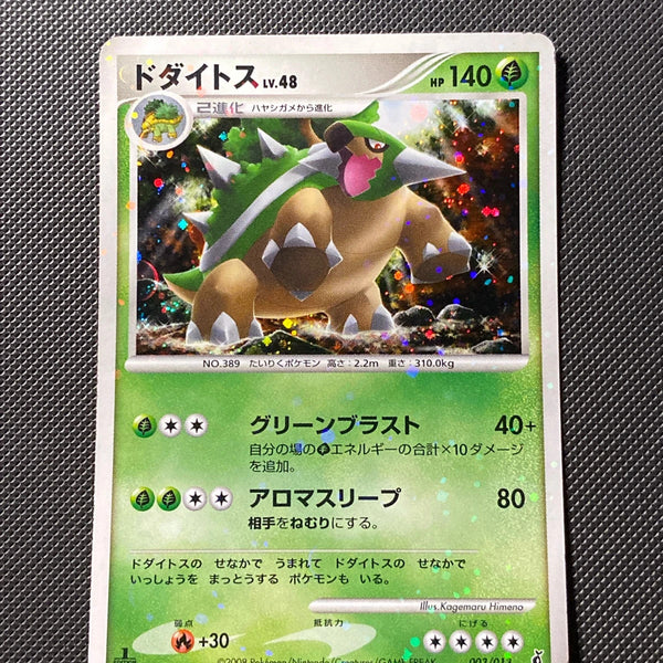 Torterra Lv.48 3/013 — photo réelle