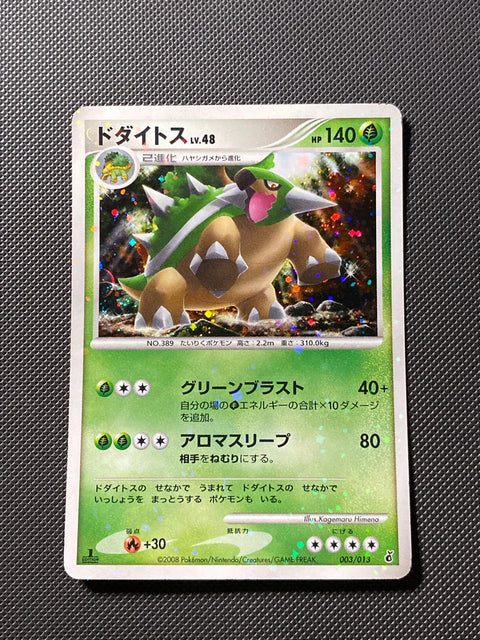 Torterra Lv.48 3/013
