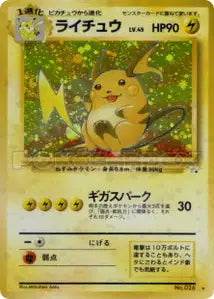Raichu 24/043