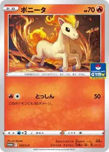 Ponyta SPP 310