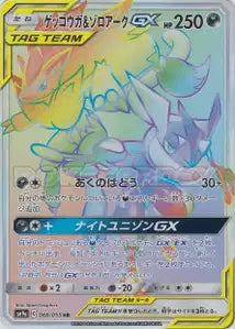 Amphinobi et Zoroark-GX 066/055