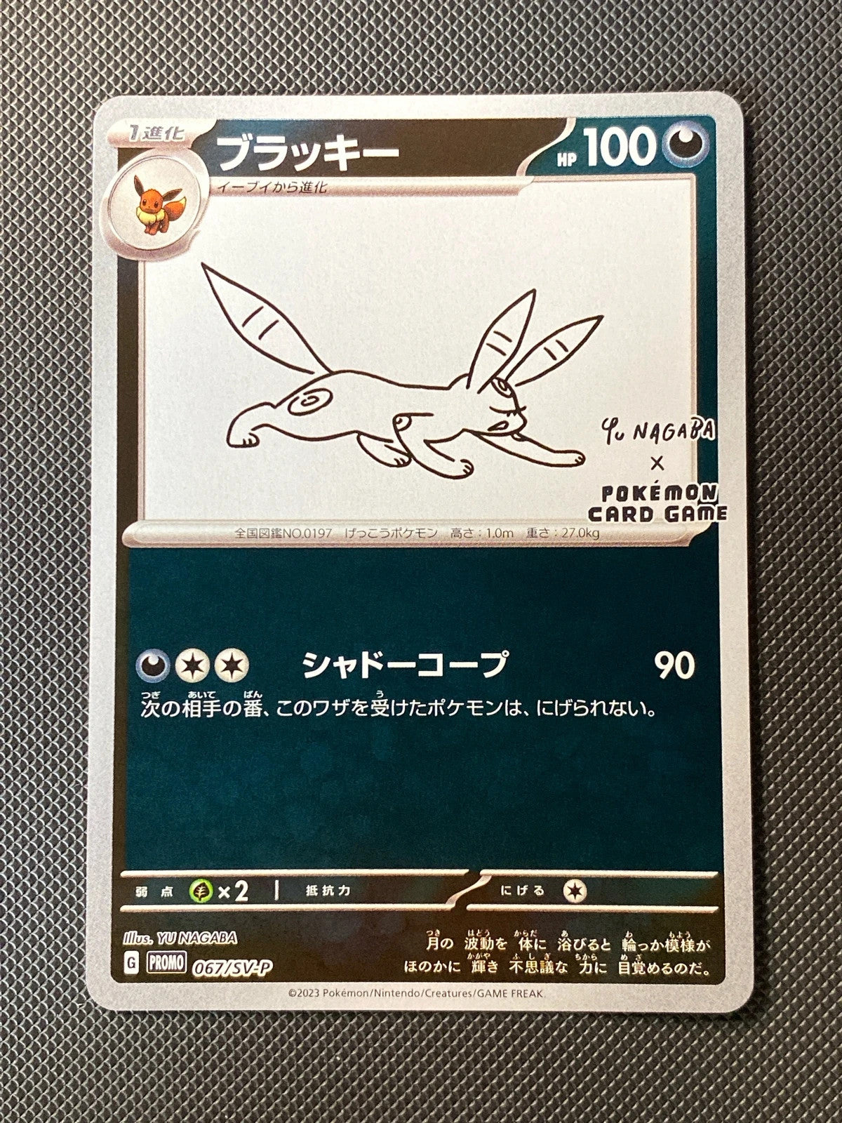Noctali SVP 067