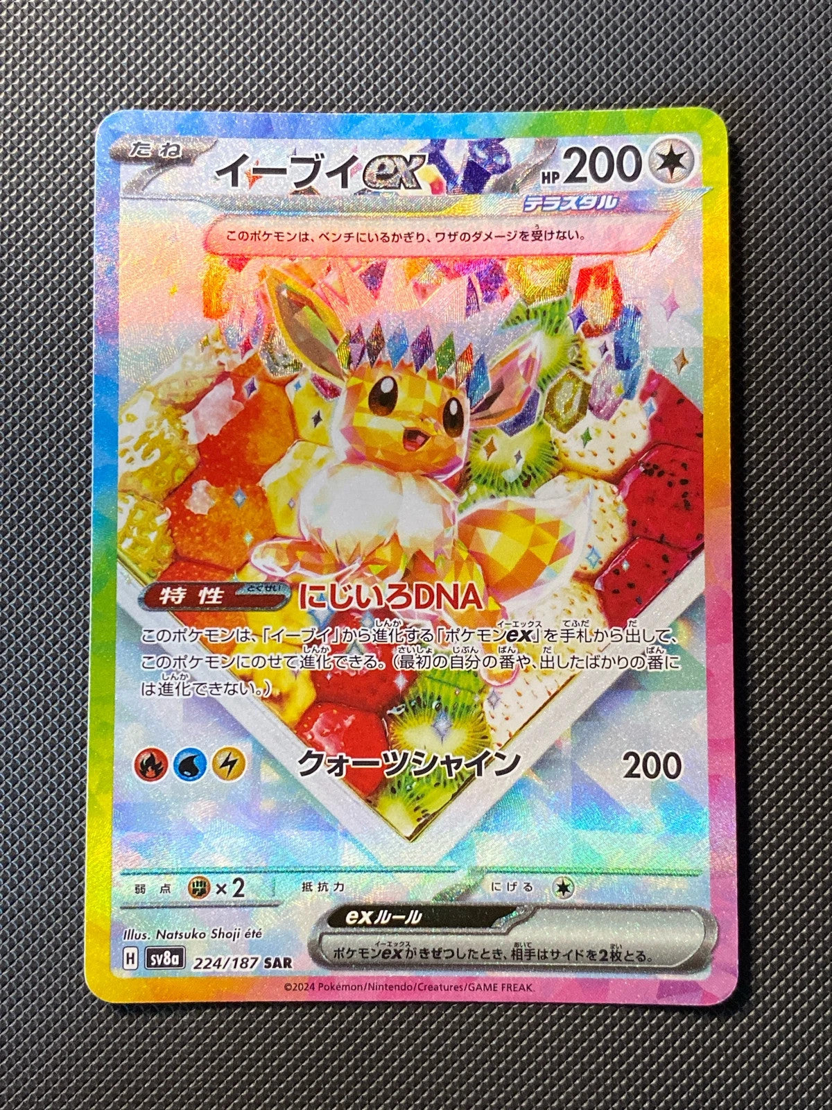 Eevee 224/187